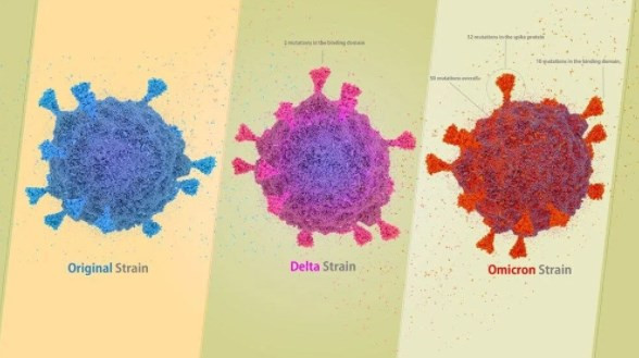 “Omikron mutasyonundaki ölüm oranı Delta’ya göre 8 kat daha az”