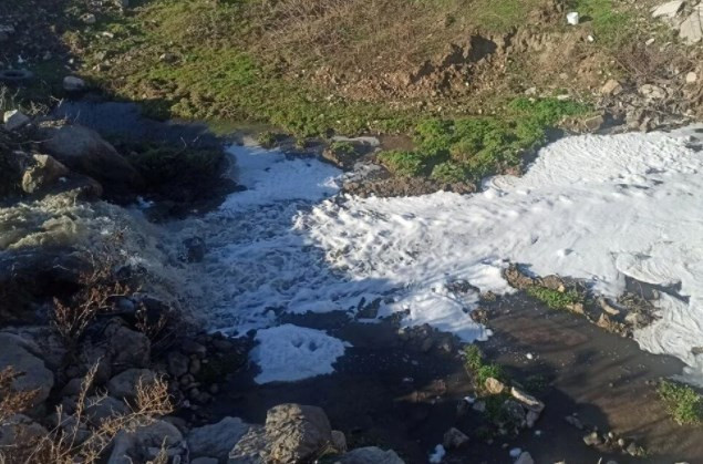 Amasya'da köpüren Tersakan Çayı'nda inceleme başlatıldı