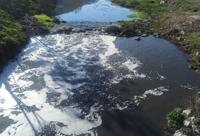 Amasya'da köpüren Tersakan Çayı'nda inceleme başlatıldı