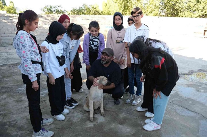 Kangal köpeklerinin fiyatı otomobil fiyatını geçiyor