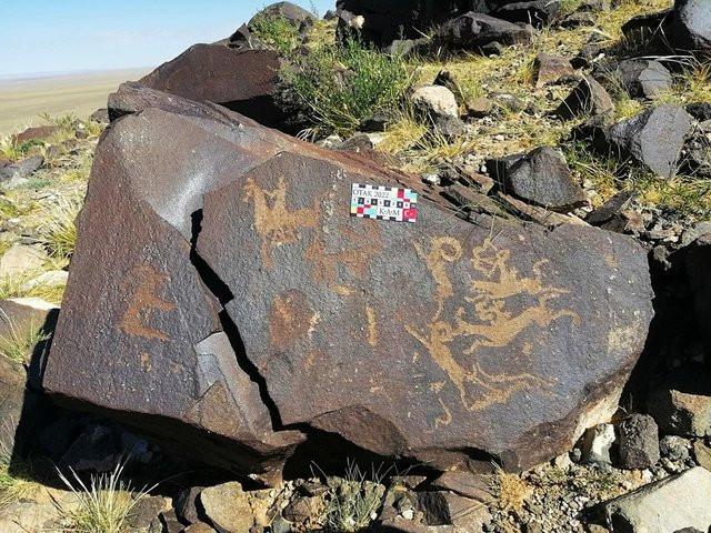 Gobi Çölü'nde müthiş keşif