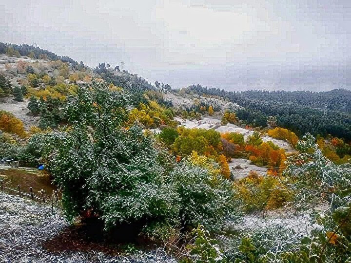 Artvin ve Kars buz kesti!