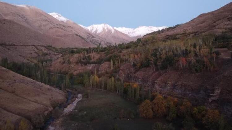 Van'da doğaseverlerden kar fotoğrafları