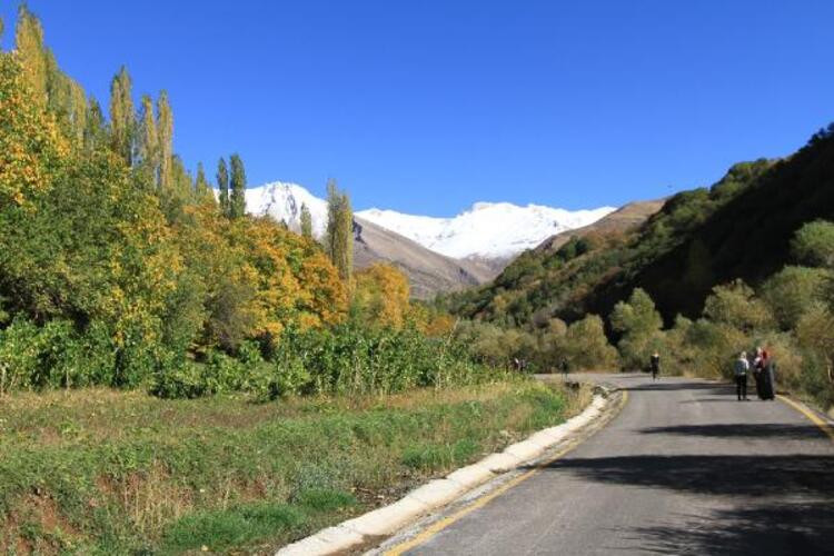 Van'da doğaseverlerden kar fotoğrafları