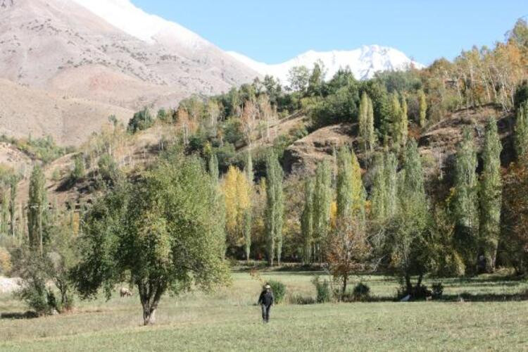 Van'da doğaseverlerden kar fotoğrafları