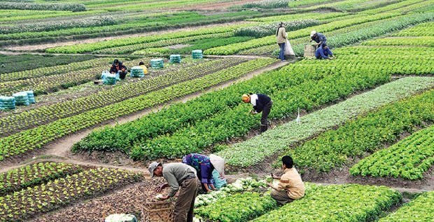 BM'den korkutan açıklama: Tarım alanlarının yüzde 90'ı tahrip olabilir!