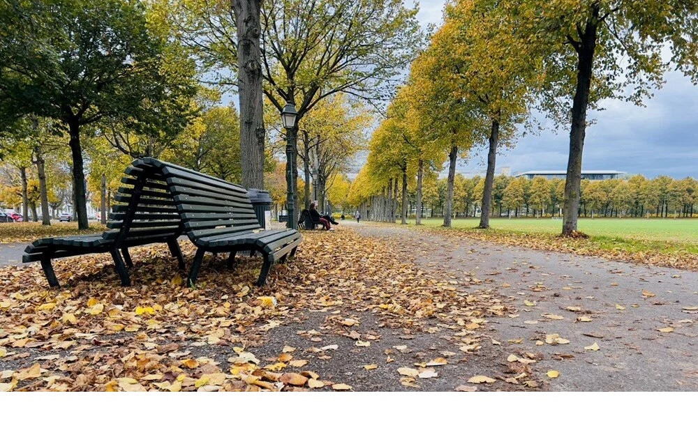 Hollanda'da sonbahar görenleri büyülüyor