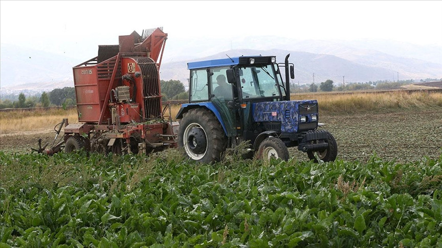 Muş'ta bu yıl beklenti 40 bin 500 ton şeker