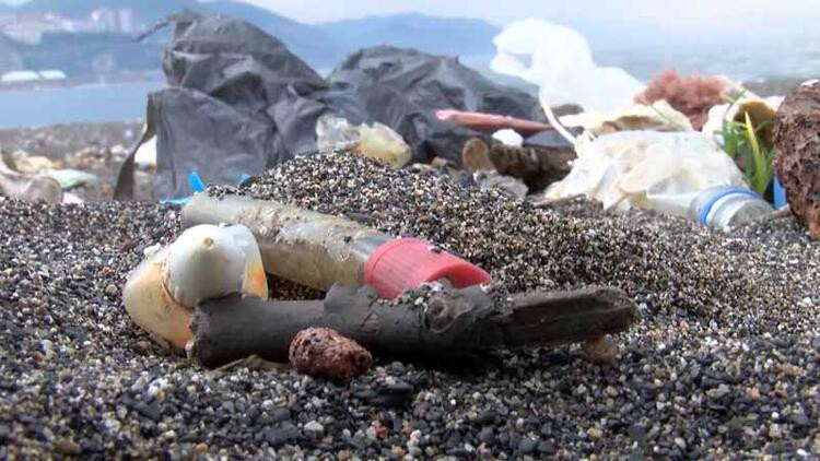 2 milimetreden küçük deniz canlısından da mikroplastik çıktı!