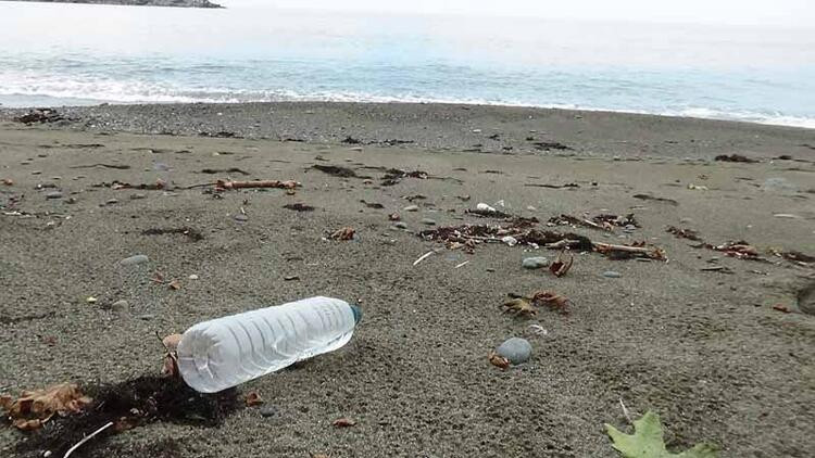 2 milimetreden küçük deniz canlısından da mikroplastik çıktı!