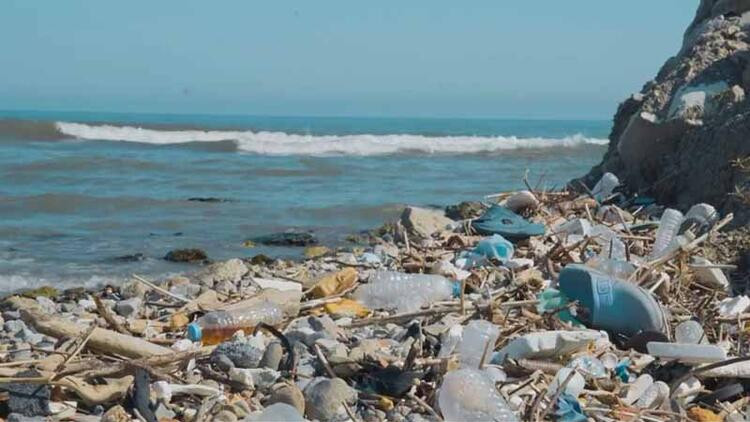 2 milimetreden küçük deniz canlısından da mikroplastik çıktı!