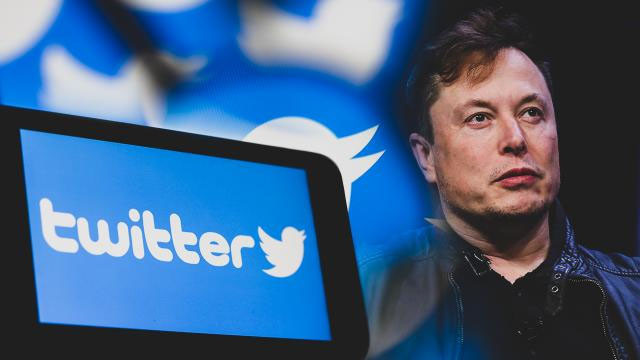 Elon Musk'tan Twitter'da genel af!