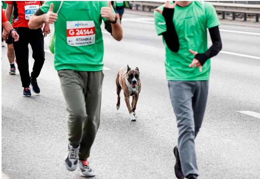 44. İstanbul Maratonu'ndan ilginç kareler