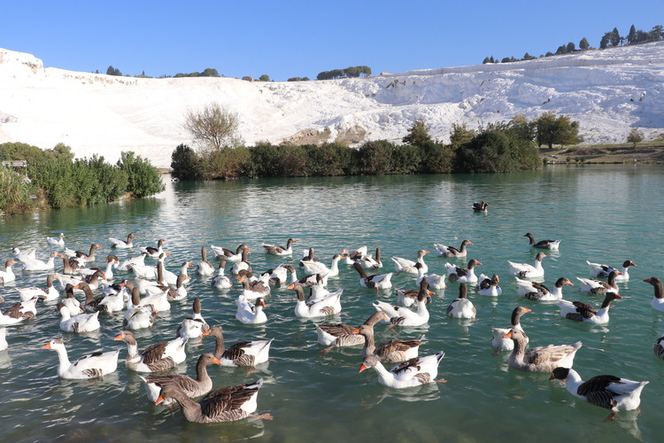 Pamukkale travertenleri jeopark alanı olacak