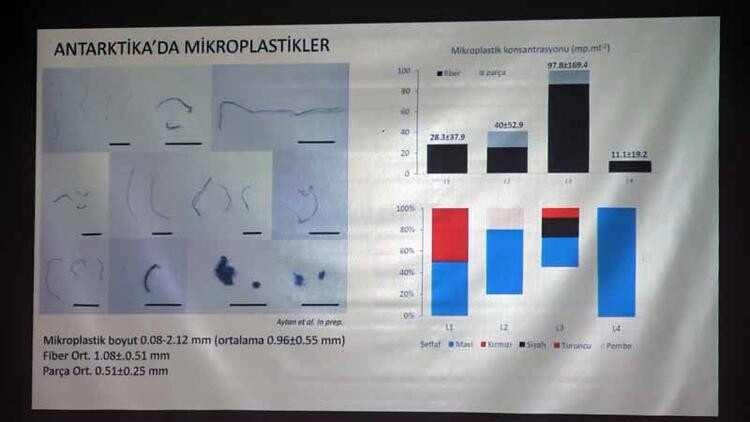 Antarktika'ya kadar ulaştı: Mikroplastik tehlikesi!