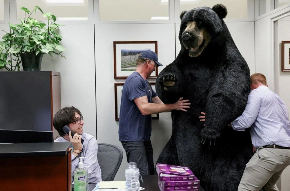 Reuters objektifinden fotoğraflarla 2022 yılı