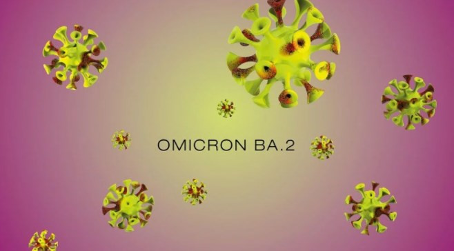 Omikron’un alt varyantı BA.2, orijinal versiyondan çok daha bulaşıcı