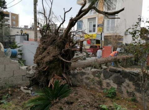 Hatay'da kuvvetli fırtına: Dörtyol'da okullar tatil