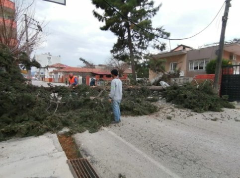 Hatay'da kuvvetli fırtına: Dörtyol'da okullar tatil