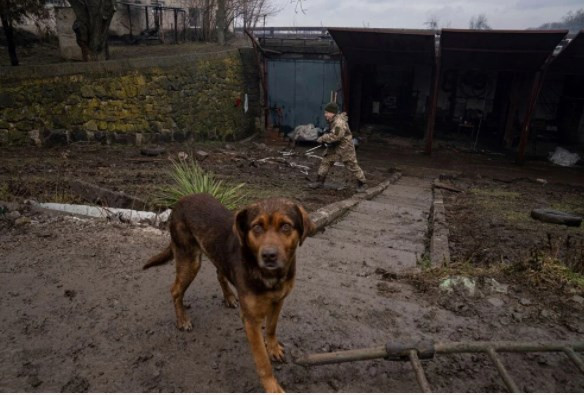 Fotoğraflarla Rusya Ukrayna savaşı