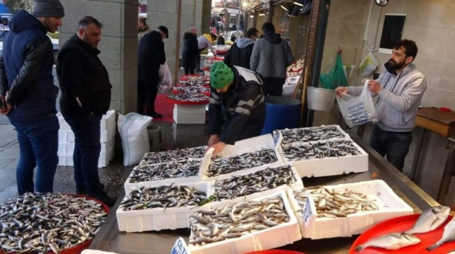 Hamsi geri geldi, bolluk fiyatlara da yansıdı