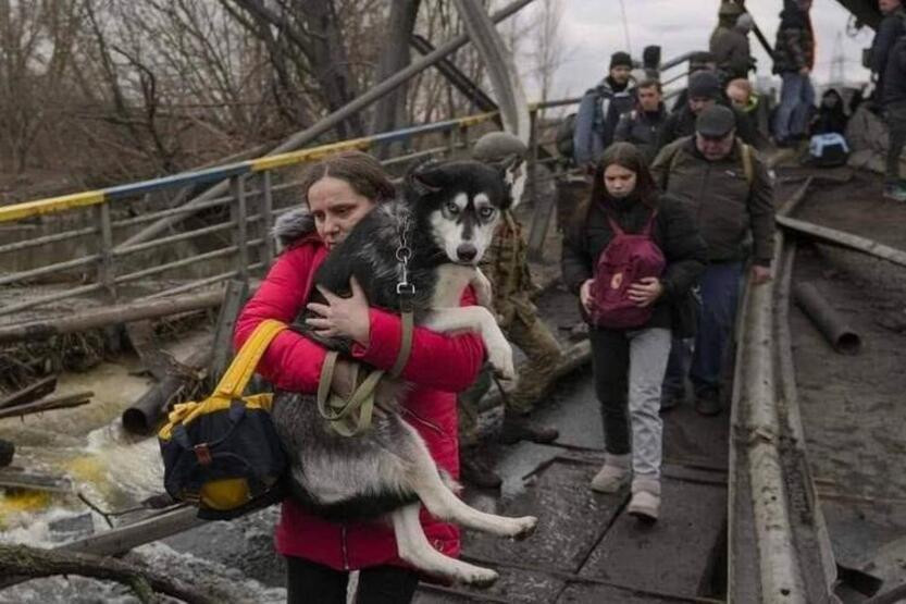 Ukraynalılar anlattı: Rus işgali altında yaşam!