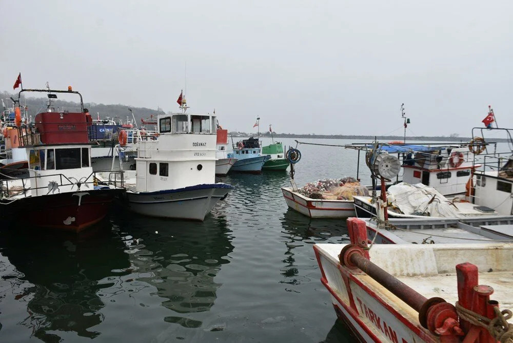 Mayın korkusu balık fiyatlarını patlatacak!