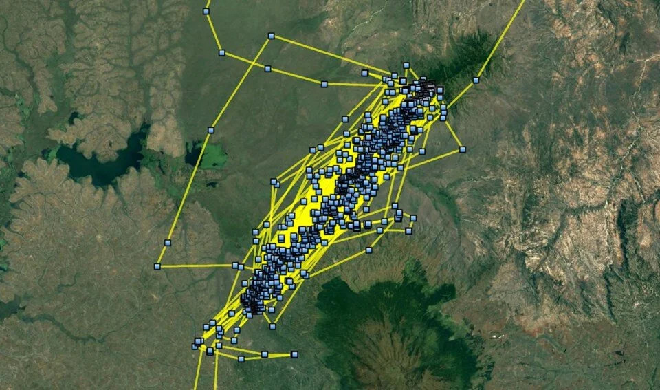 Kartalın 6 ayı: 9 ülke, 20 bin kilometre...