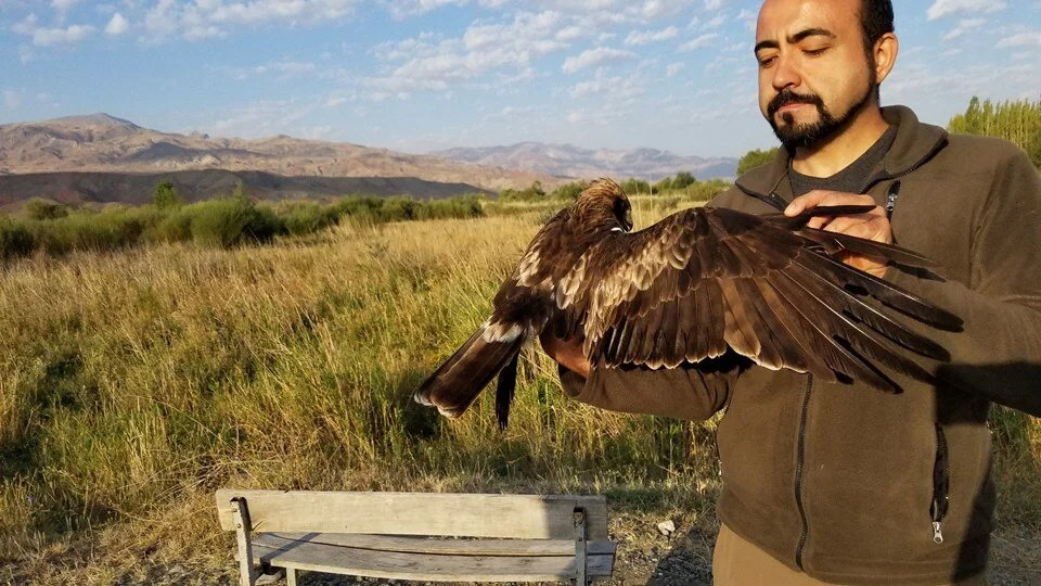 Kartalın 6 ayı: 9 ülke, 20 bin kilometre...