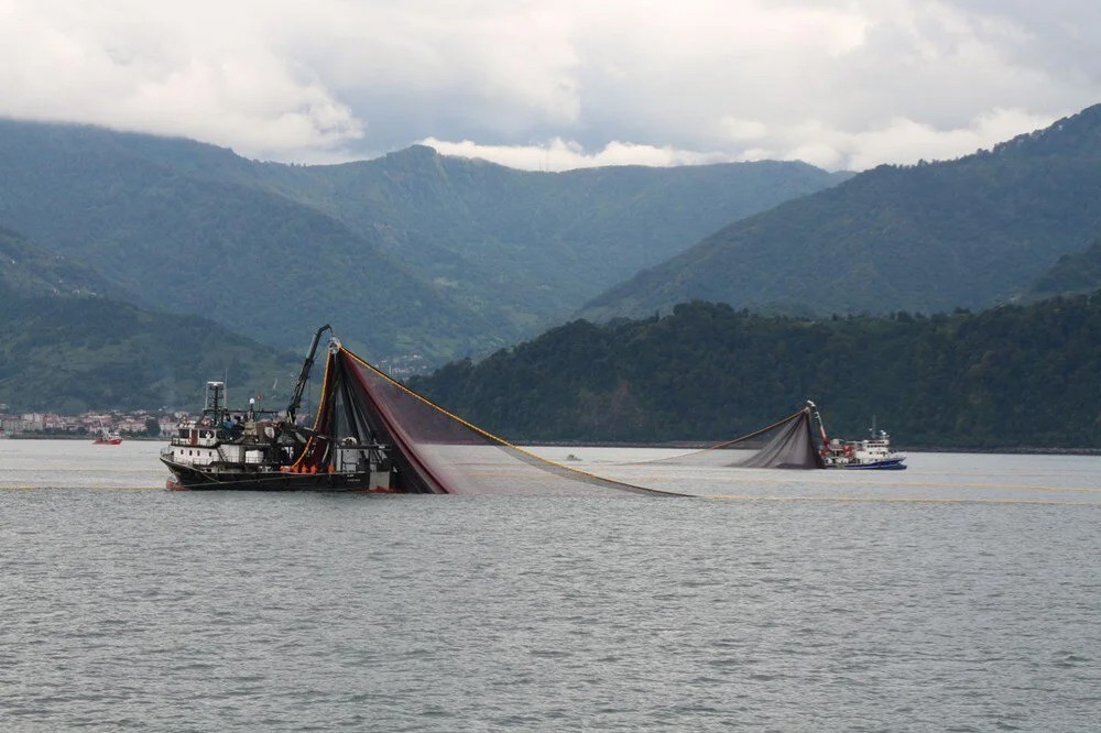 Karadeniz alarm veriyor: Deniz suyu sıcaklığında artış!