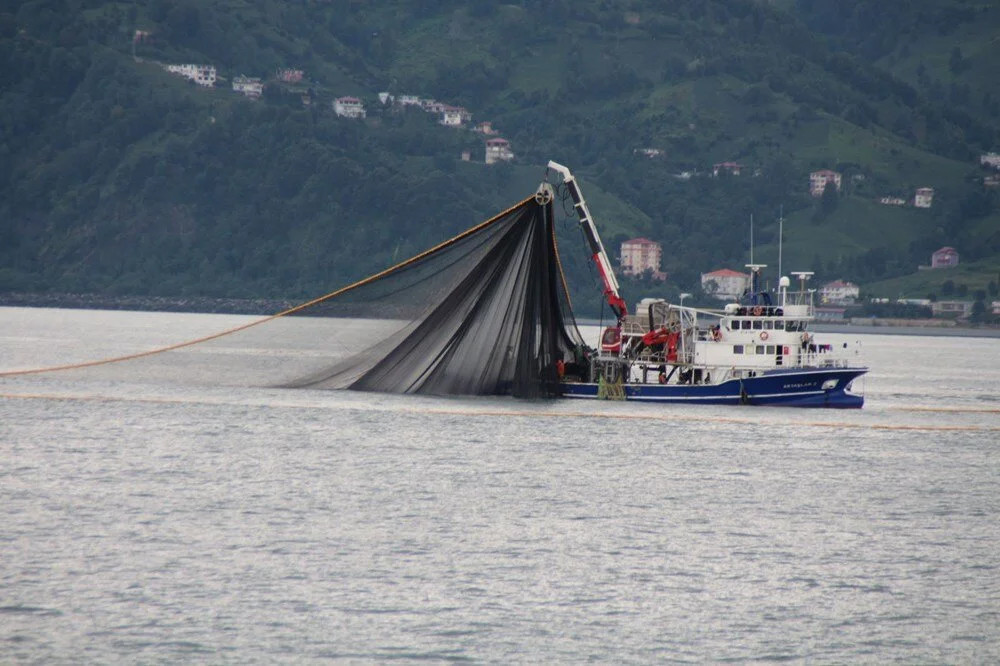 Karadeniz alarm veriyor: Deniz suyu sıcaklığında artış!