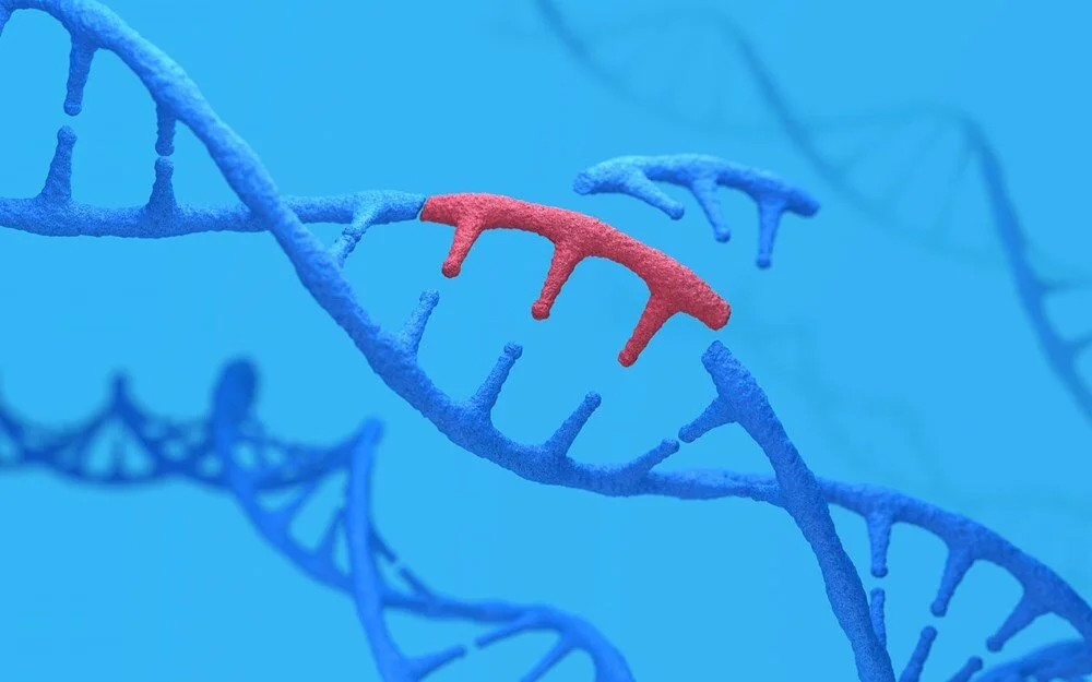 Yanıtı DNA'da gizli: Ortalama yaşam süresi neden 80 yıl?