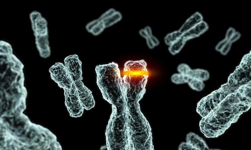 Yanıtı DNA'da gizli: Ortalama yaşam süresi neden 80 yıl?