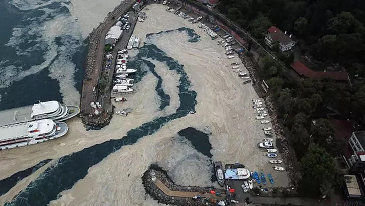 Müsilaj rapor TBMM'ye sunuldu: Yakıt ya da gübre olarak kullanılamaz!