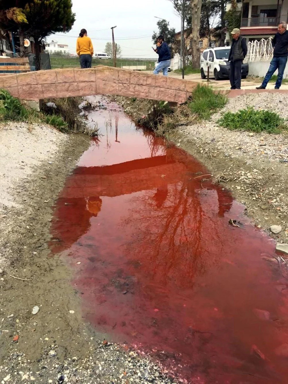 Marmara Denizi'ne karıştı: Dereye atık için rekor ceza!