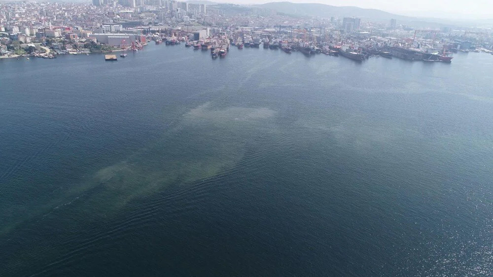 Korkutan görüntü: Müsilaj İstanbul'a geri mi dönüyor?