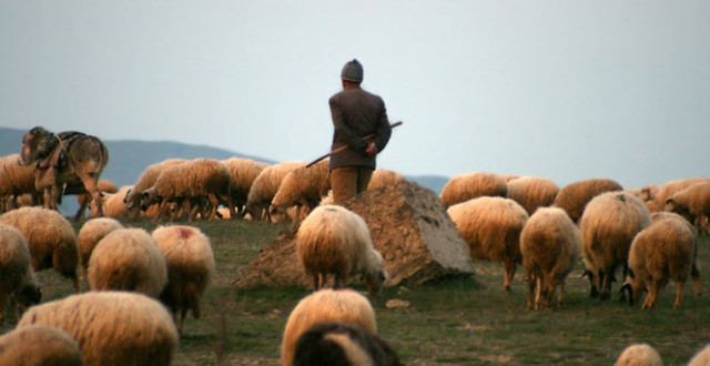 Kırmızı et fiyatlarıyla ilgili flaş adım!