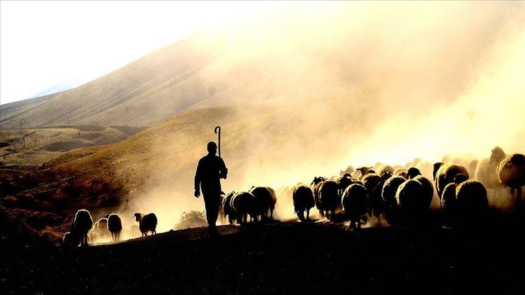 Kırmızı et fiyatlarıyla ilgili flaş adım!