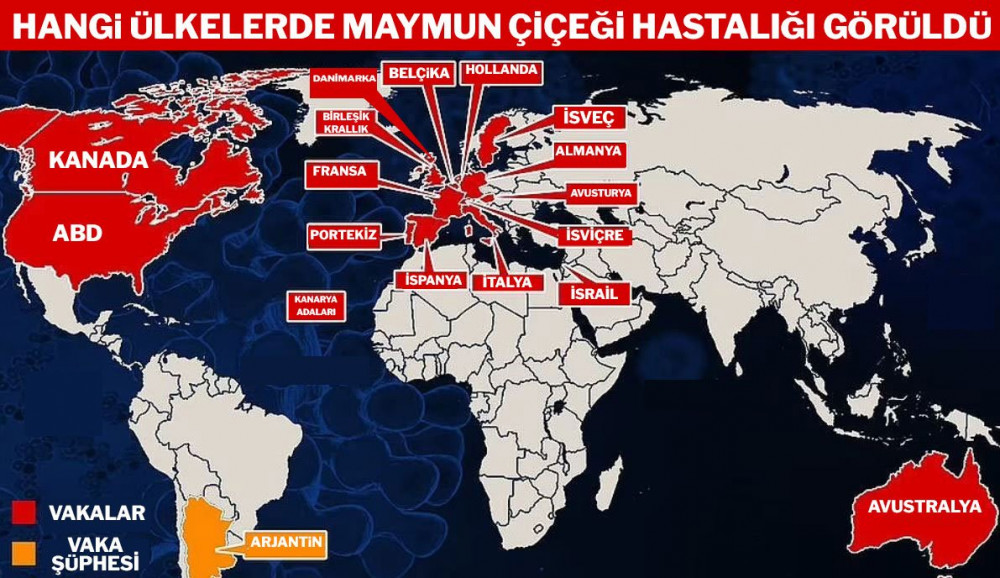 Vaka sayıları artıyor: Maymun çiçeğine dair bilinmesi gereken 12 şey!