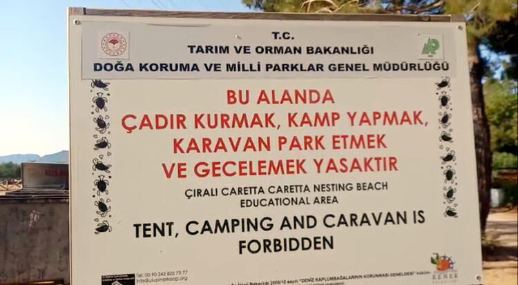 Caretta caretta yasağı: Cezası 109 bin TL!