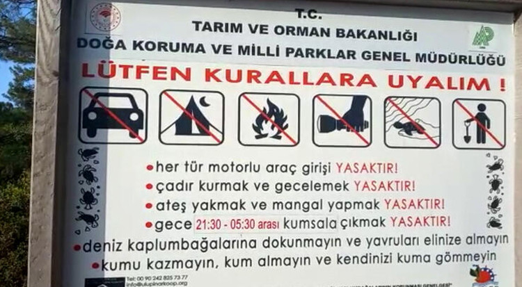 Caretta caretta yasağı: Cezası 109 bin TL!