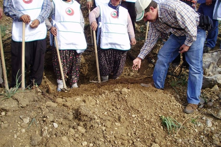 Yanan yerler küllerinden doğuyor: İşte son hali!