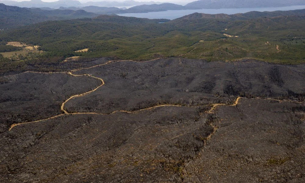 Acı tablo: Marmaris'te yanan ormanlık alan görüntülendi!