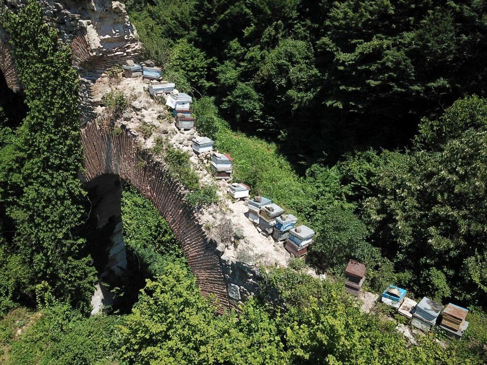 Görüntüler tepki topladı: Taşları söküp kovan koydular!