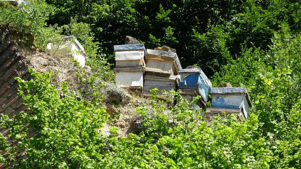 Görüntüler tepki topladı: Taşları söküp kovan koydular!