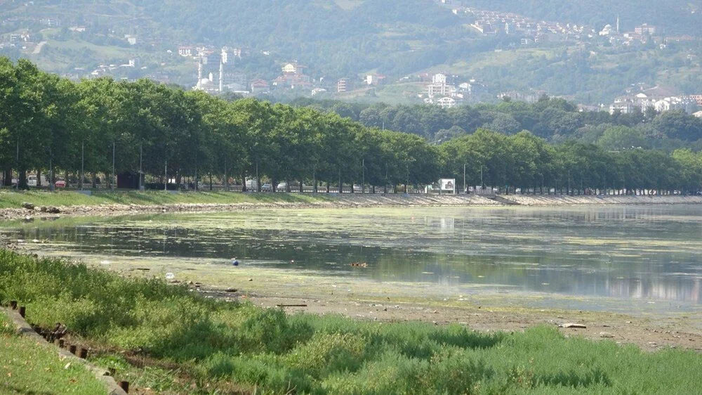 'Kuş Cenneti' yosun doldu: İşte nedeni...