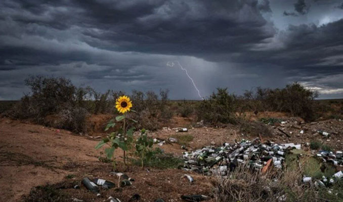 2022'nin en iyi doğa fotoğrafları seçildi