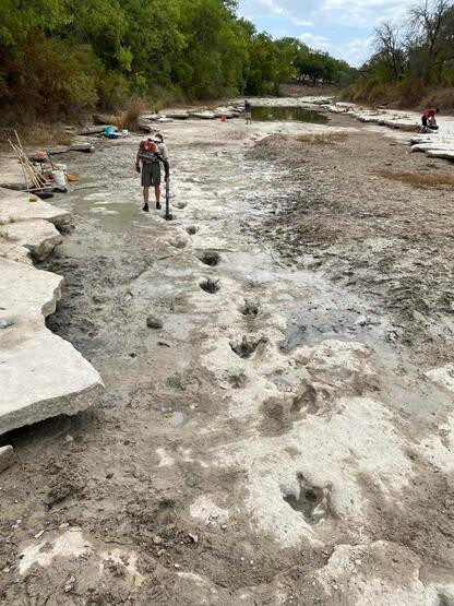 113 milyon yıllık: Kuraklık, dinozor ayak izlerini ortaya çıkardı!