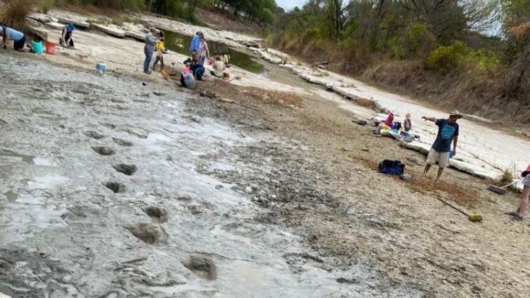 113 milyon yıllık: Kuraklık, dinozor ayak izlerini ortaya çıkardı!