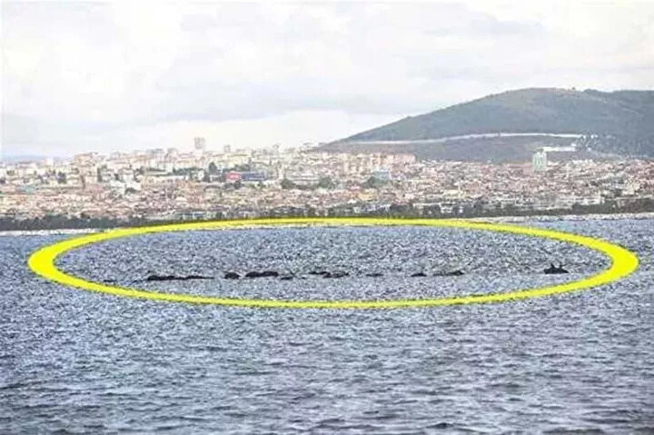 İstanbul'un onuncu adası bulundu